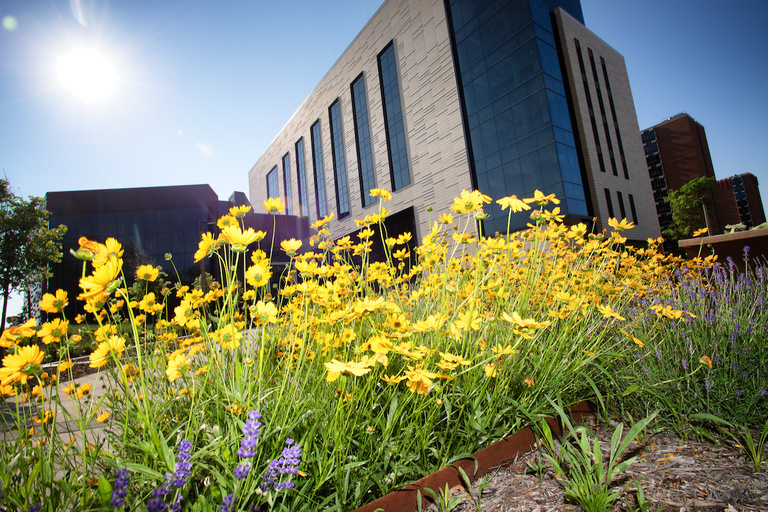 pharm building