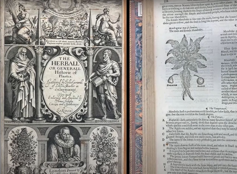 Image of old herb book