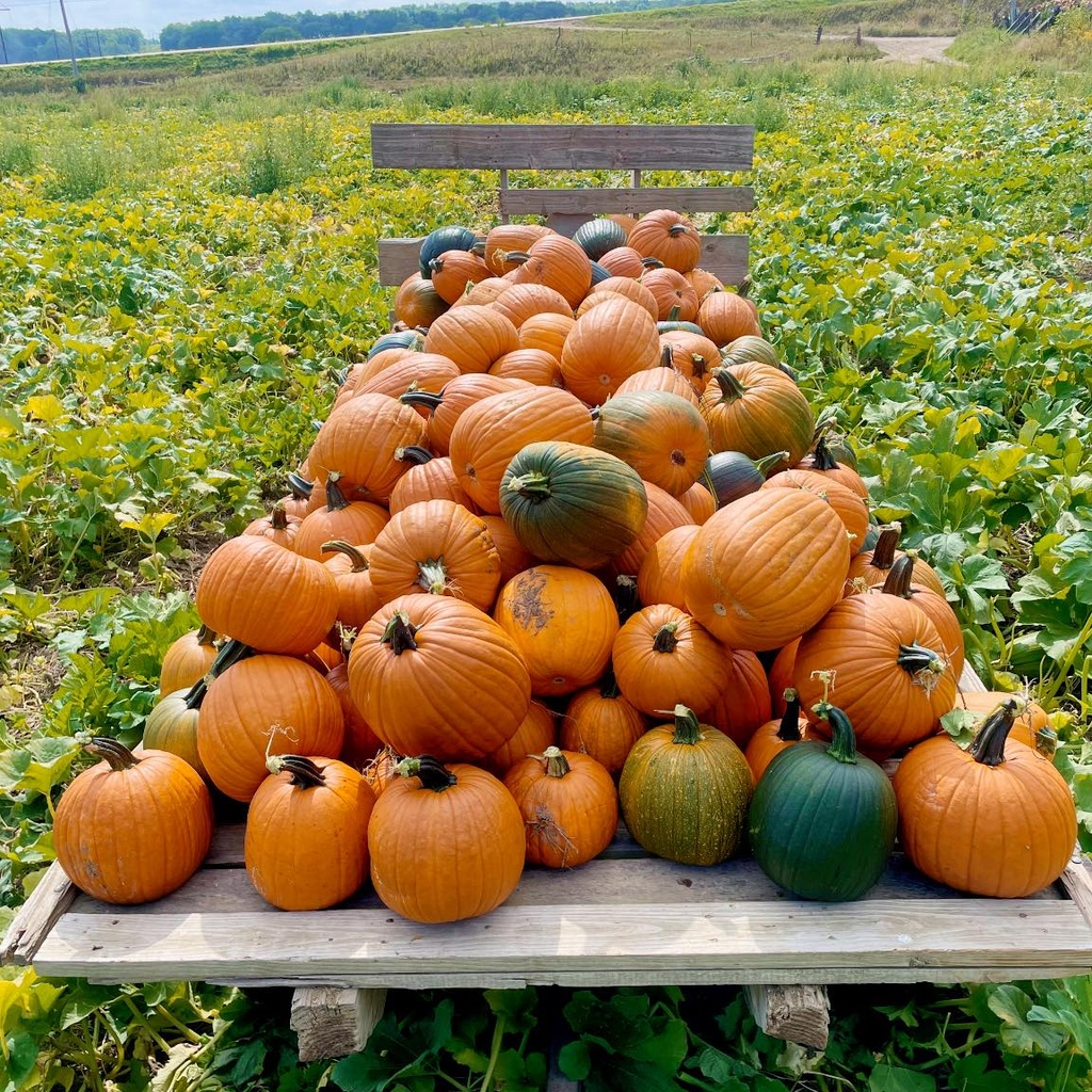 Farm Tour at Kroul Farms promotional image