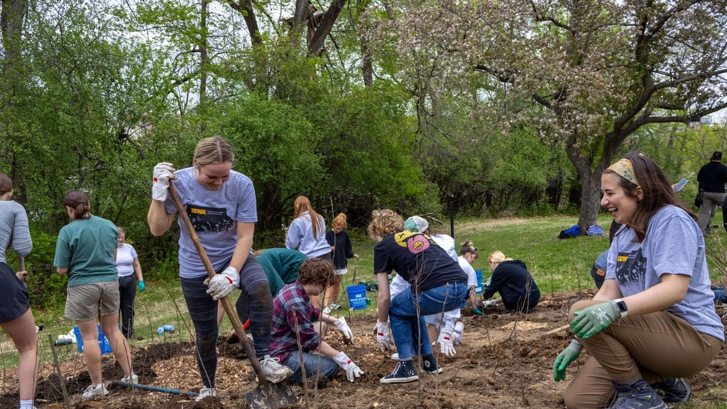 Tree Planting