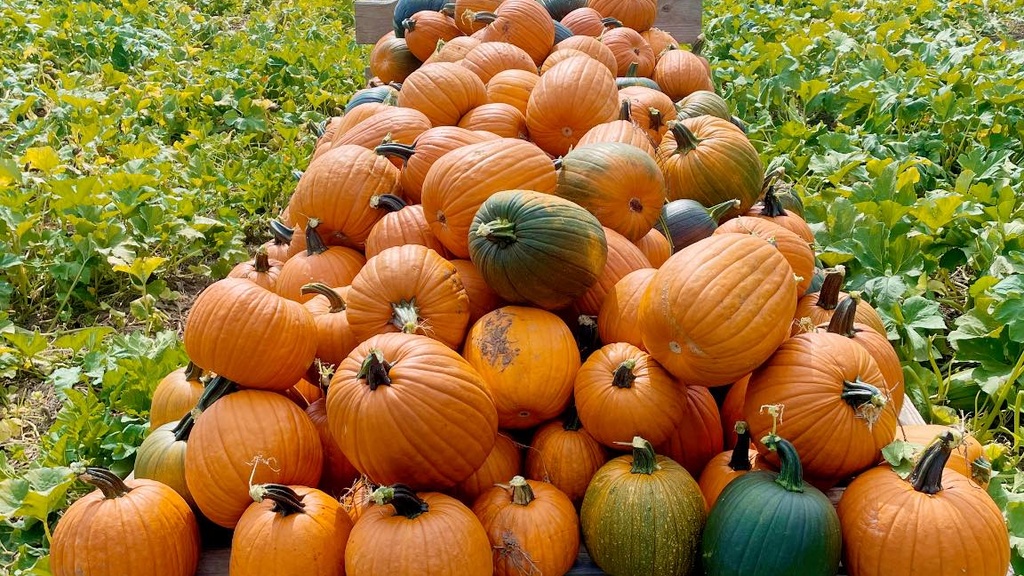 Farm Tour at Kroul Farms promotional image